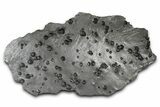 Plate of + Red Embers Garnets in Graphite - Massachusetts #375770-1